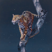 Load image into Gallery viewer, Celestial Jaguar
